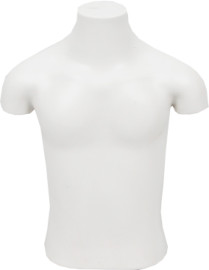 Busto meio corpo pl�stico juvenil masculino branco
