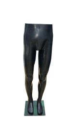 Busto masculino cala 