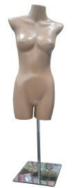 Busto feminino para balco