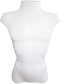 Busto peitoral branco masculino para camisas e camisetas